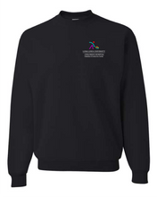 Load image into Gallery viewer, LLUCH Diabetes & Endocrine Center Crewneck