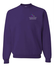 Load image into Gallery viewer, LLUCH Diabetes & Endocrine Center Crewneck