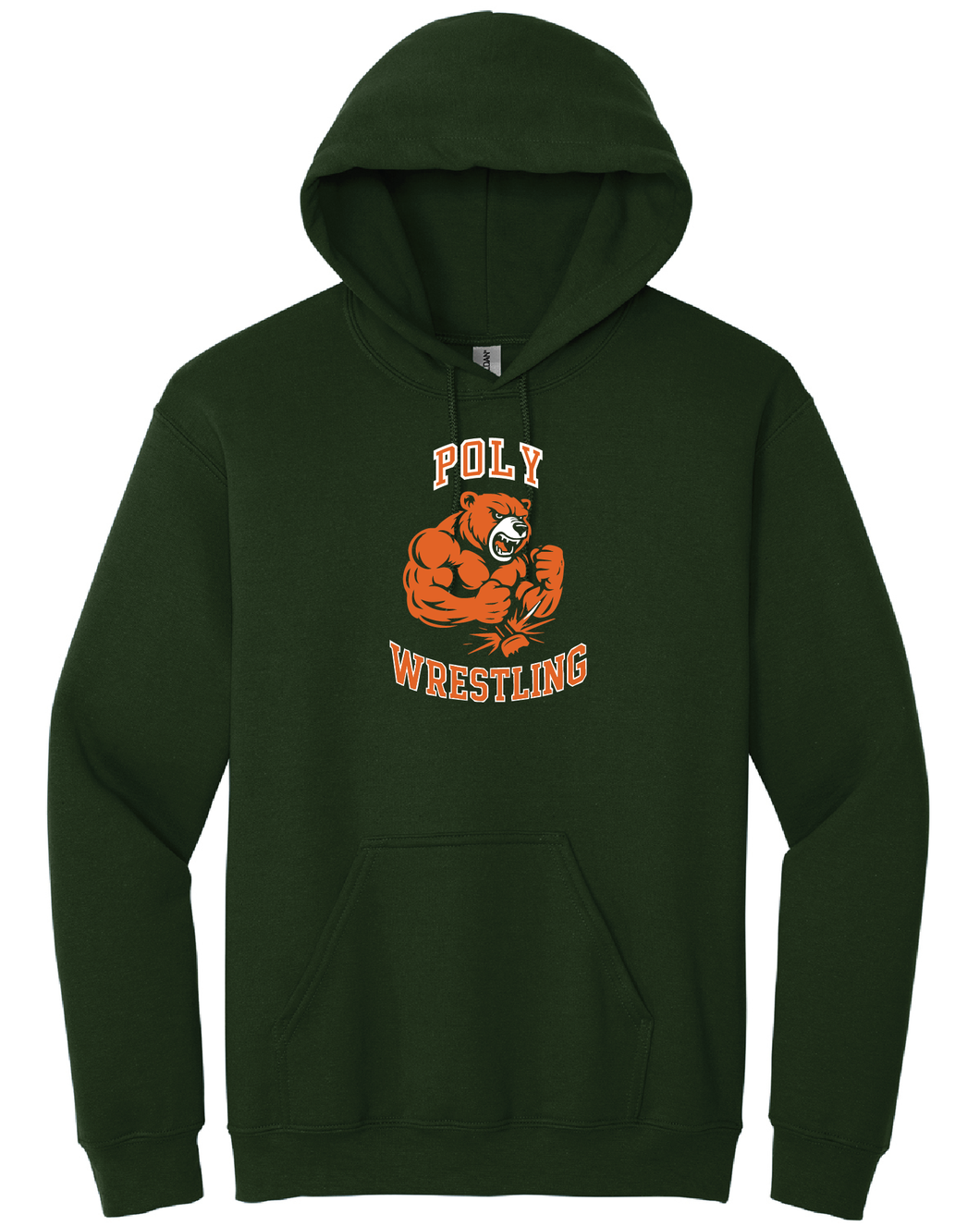 Poly Wrestling Iron Sharpens Iron Hoodie