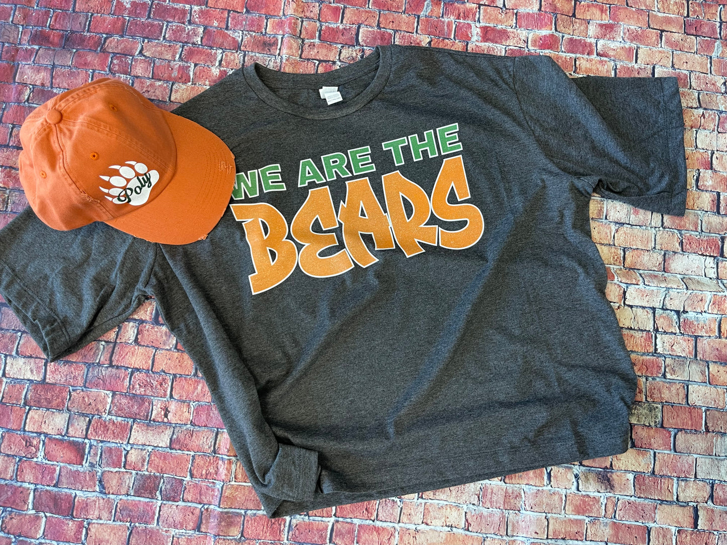 We are the bears boxy Tee