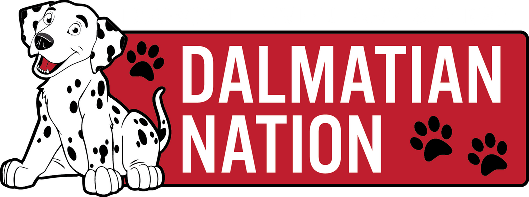 D'Arcy Dalmation TShirt
